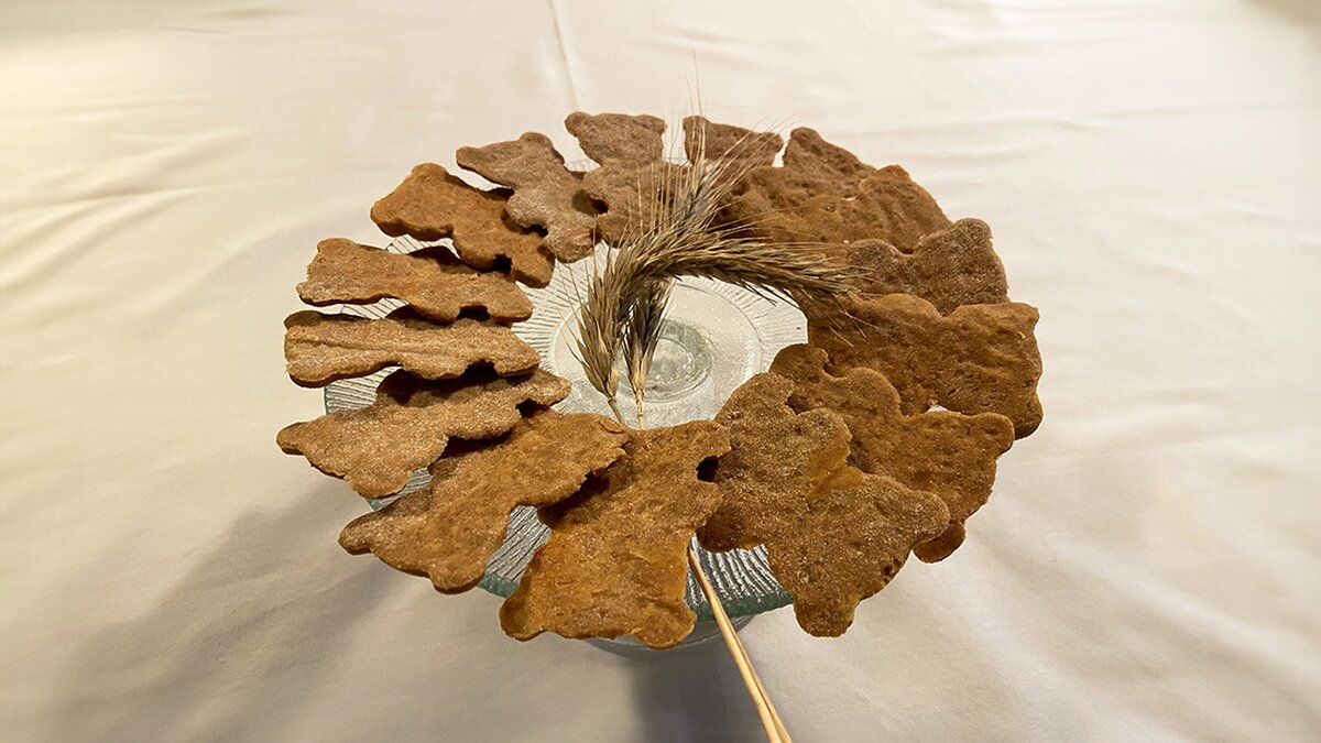 Fotografia: biscotti dell'Orso di Segale