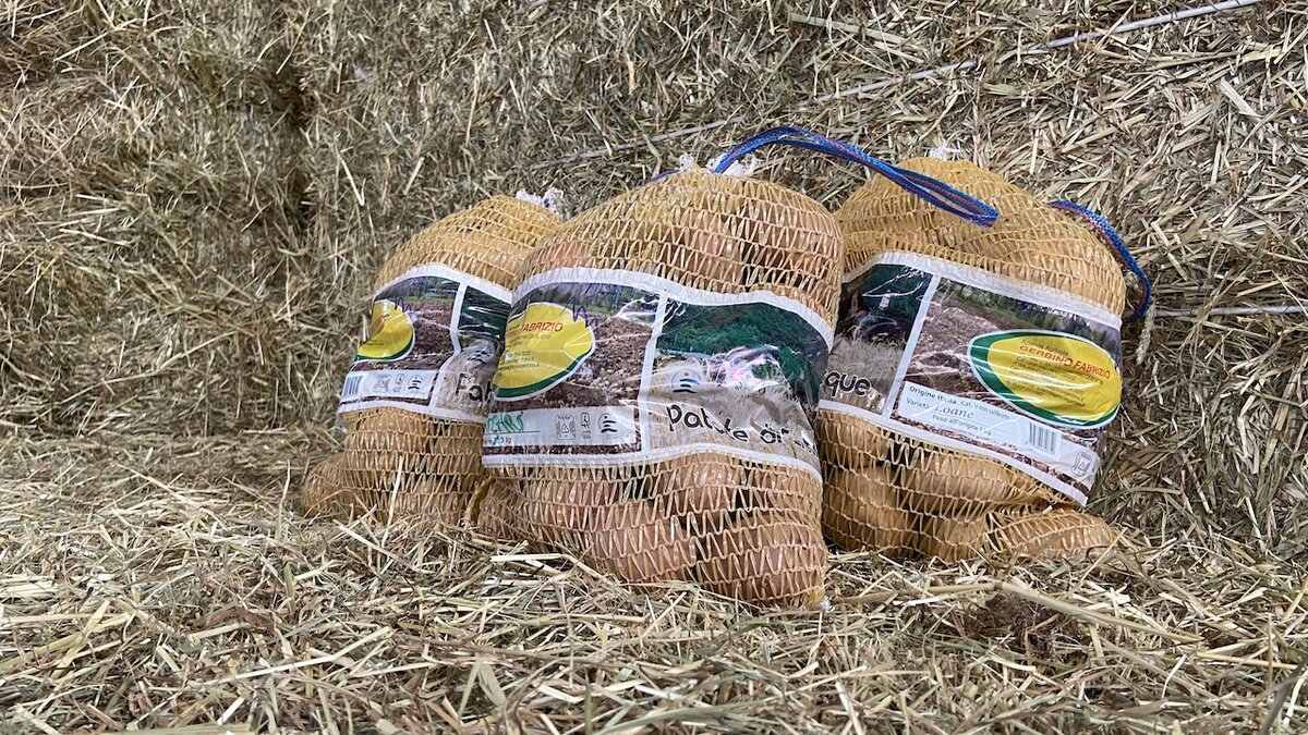 Fotografia: patata di Entracque