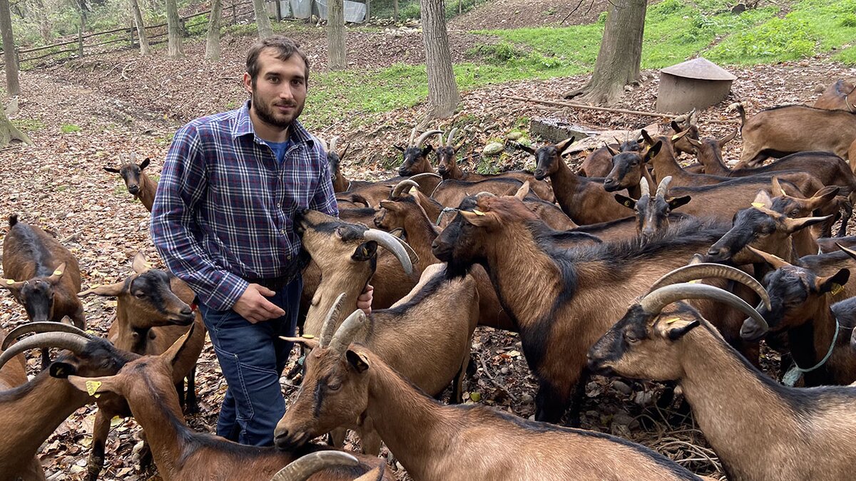 Fotografia: Mattia Comino e le sue capre