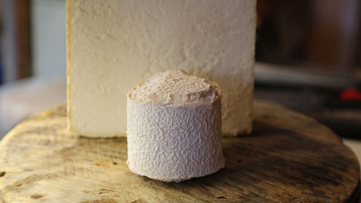 Fotografia: Ariund delle Alpi